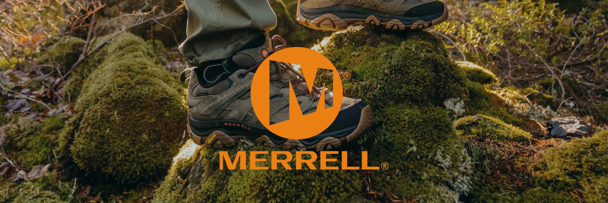 Conquer the Wild with Portwest